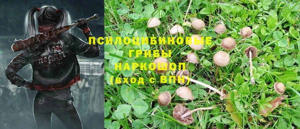 прущая мука Алексеевка