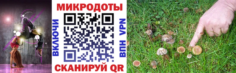 Псилоцибиновые грибы мицелий  дарнет шоп  Калининград 