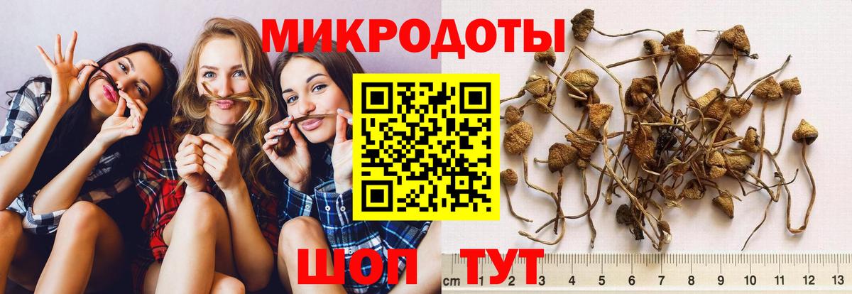 Калининград  Псилоцибиновые грибы ЛСД  Вход с VPN 